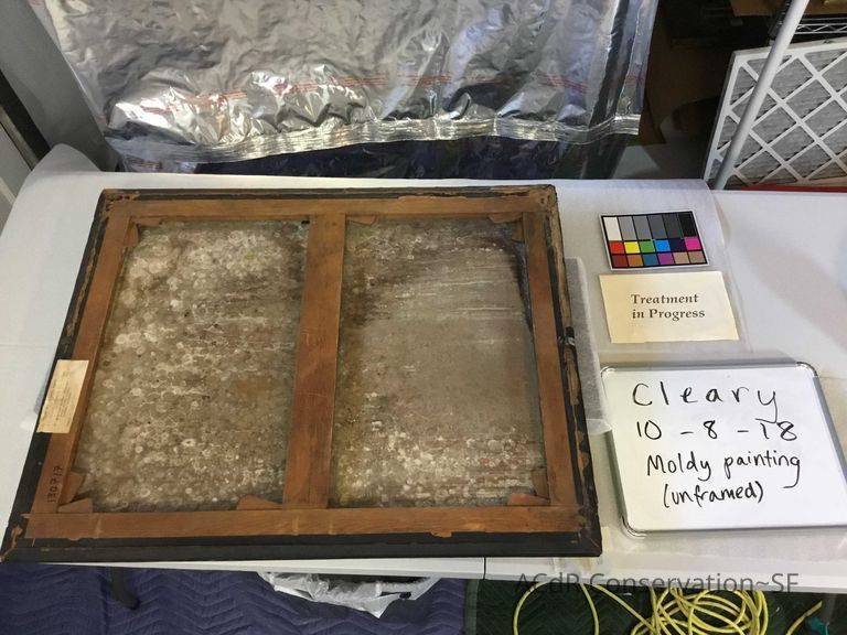  Sheep herder - Image 2