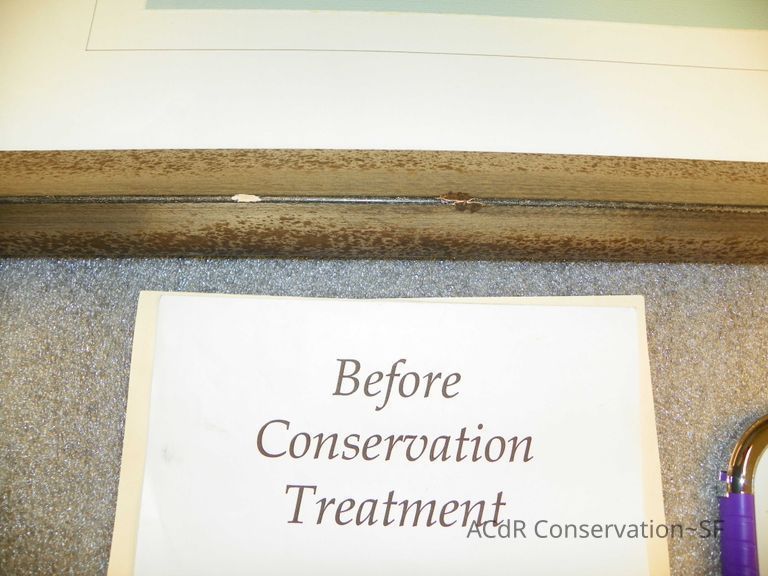 Tree Illustration - Image 2