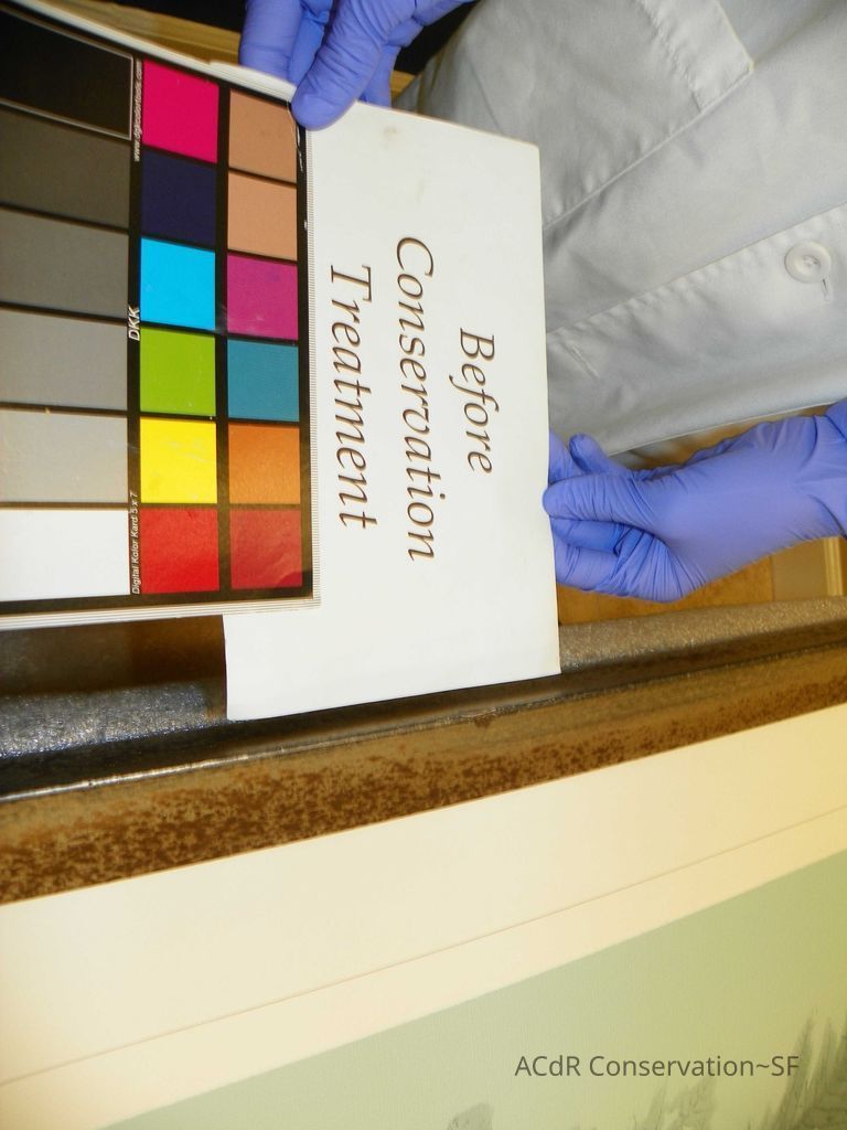 Tree Illustration - Image 5