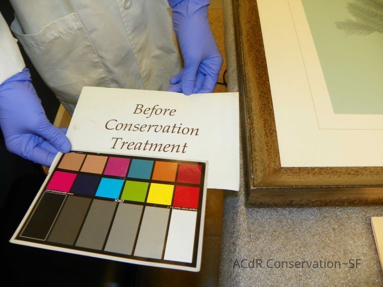 Tree Illustration - Image 6