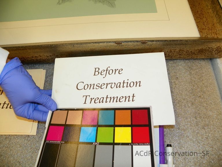 Tree Illustration - Image 7