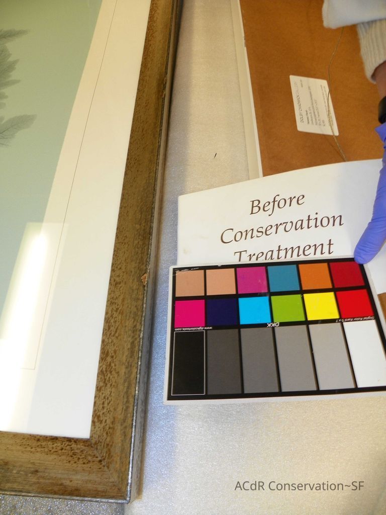 Tree Illustration - Image 8