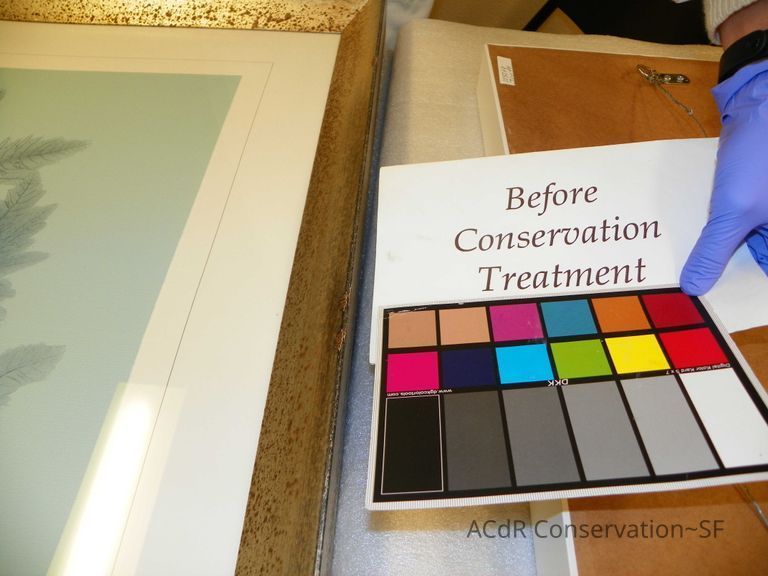 Tree Illustration - Image 9