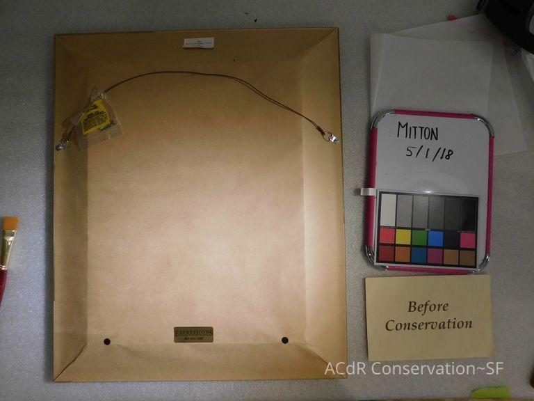 Chocolate Lab - Image 3