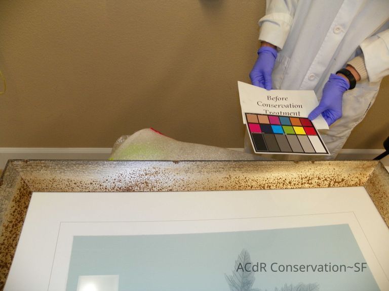 Tree Illustration - Image 11