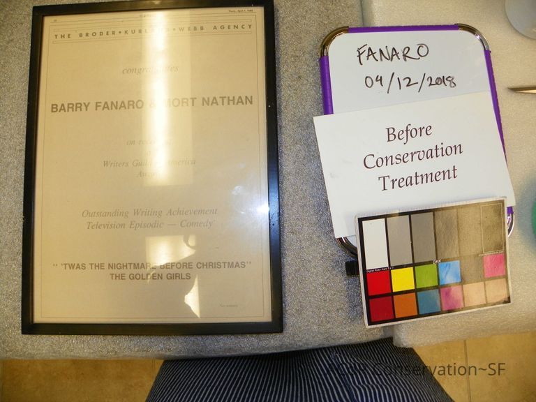 Writers Guild of America Award