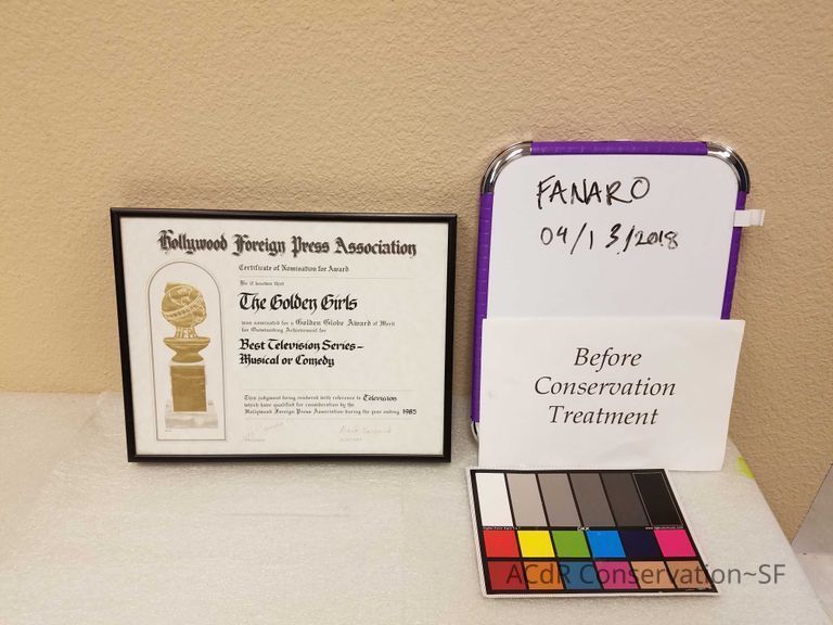          Hollywood foreign press association picture number 1
