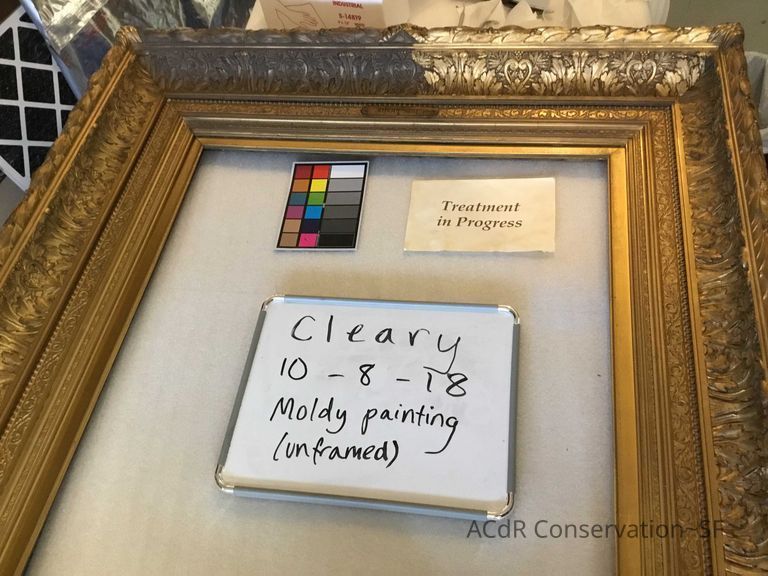  Sheep herder - Image 6