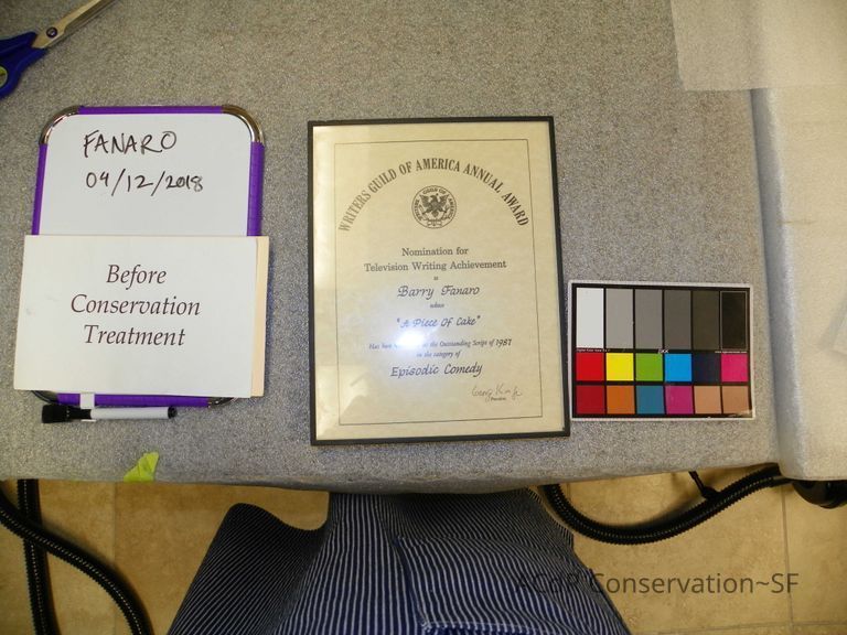 Writer's Guild of America Award, 1987