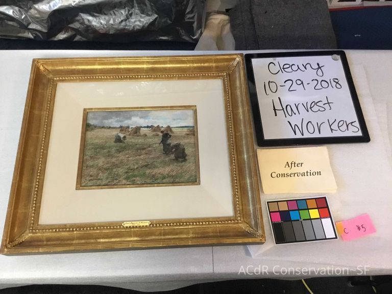 Harvest workers - Image 3