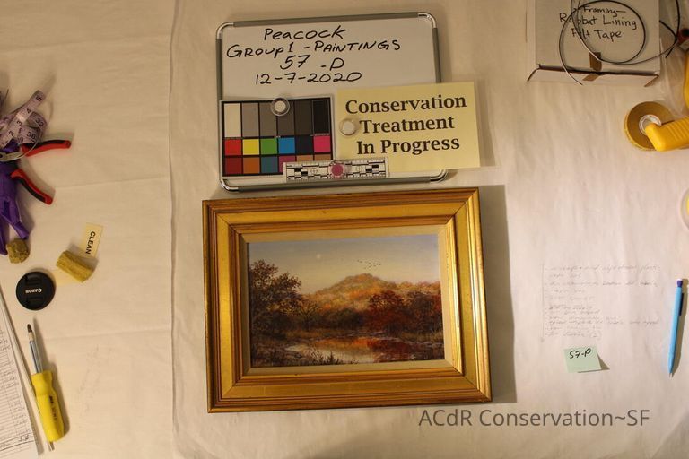          Mountain with dark red trees picture number 1
