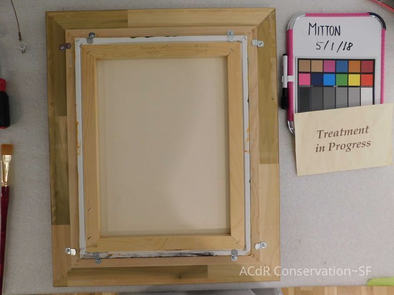 Chocolate Lab - Image 4