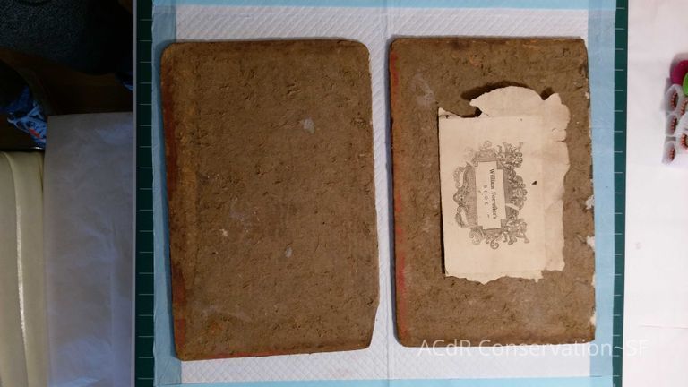 Bible - Image 5