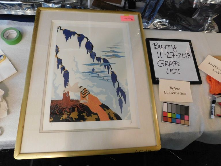          Grape Lady picture number 1
