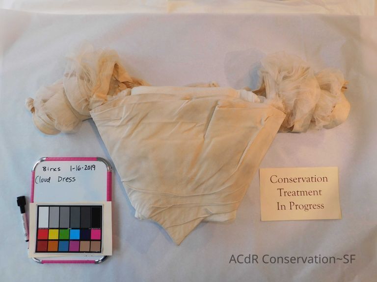          Bodice with Cloud Sleeves picture number 1
