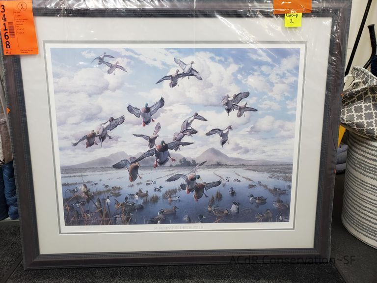          Flock of ducks picture number 1
