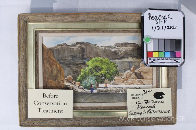          Navajo Shepherdess picture number 1
