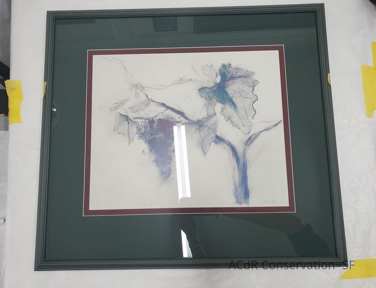          Bradford (Grapes on a Vine) picture number 1
