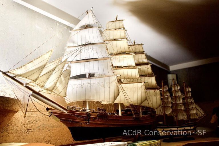          Model Ship picture number 1
