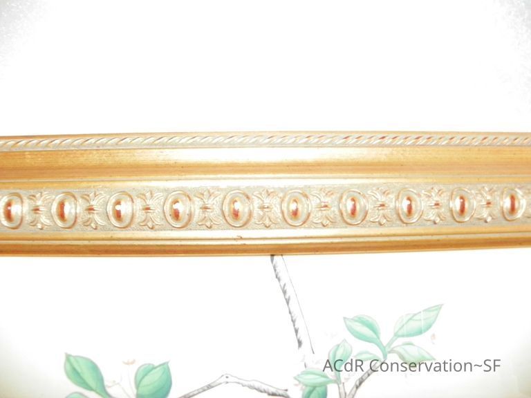 Tree with Birds  - Image 2