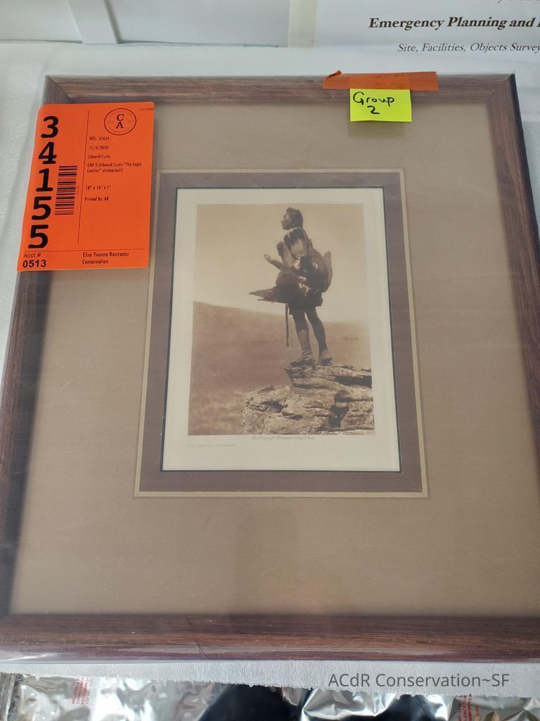          The Eagle Catcher picture number 1
