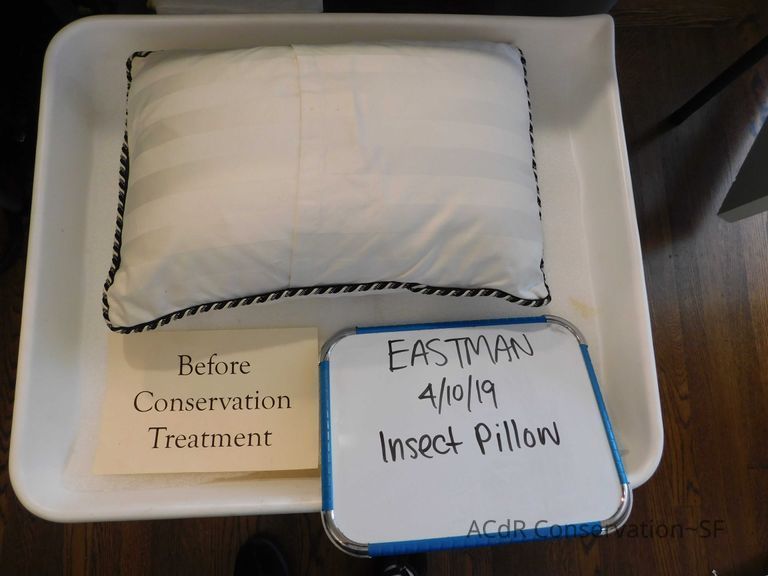 Insect Pillow - Image 2