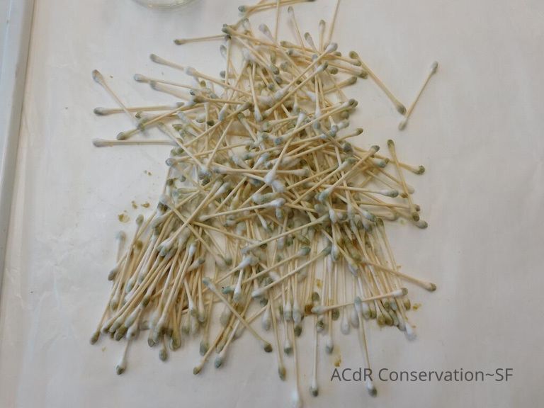 Seascape by Nels Hagerup painting - Image 154