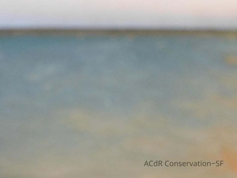 Seascape by Nels Hagerup painting - Image 159