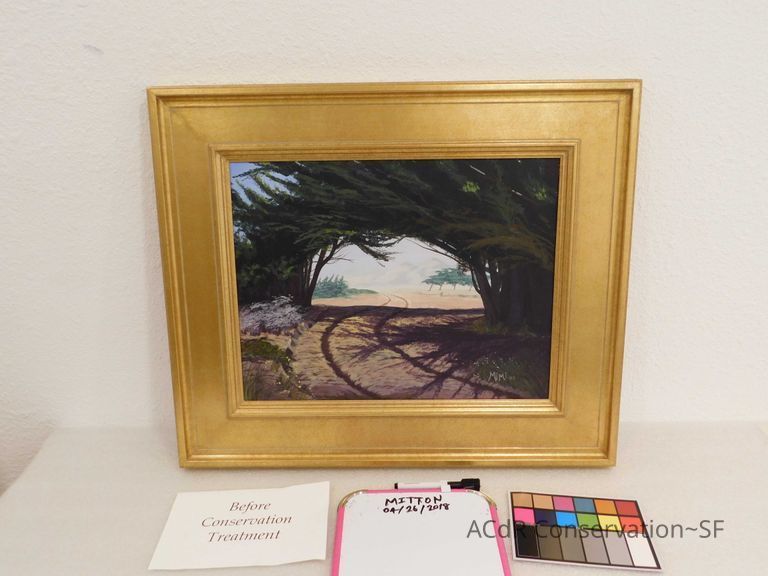          Tracks through the woods picture number 1
