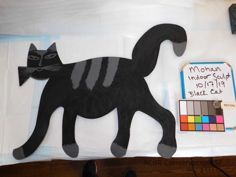          Black cat picture number 1
