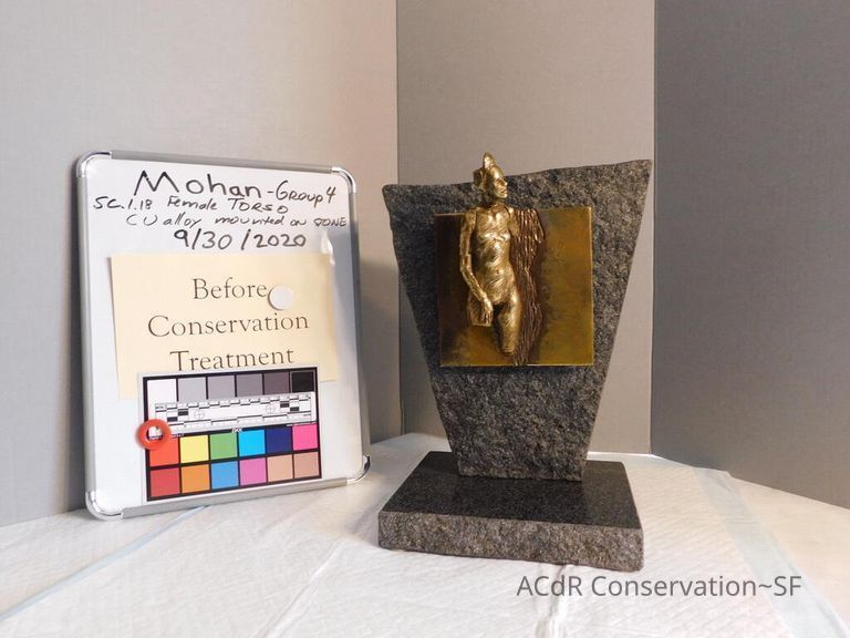          Female Torso picture number 1
