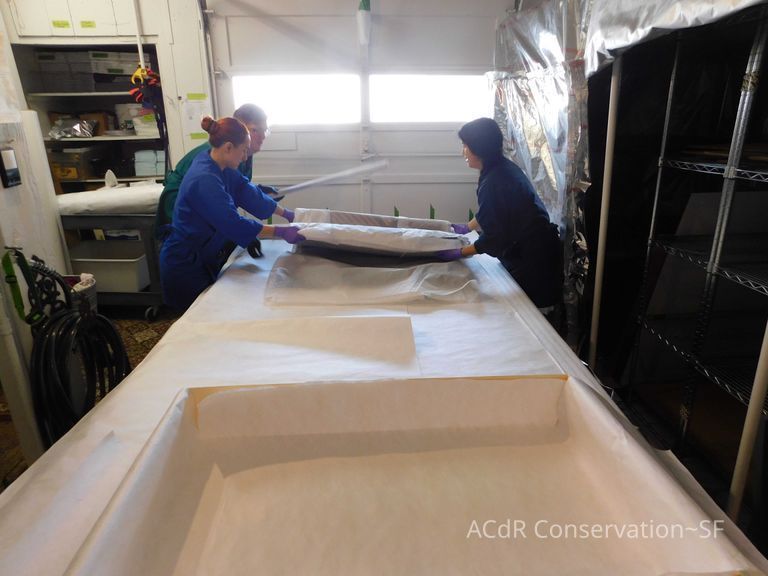 Textile and Tribal Arts Show Rehousing Project - Image 134