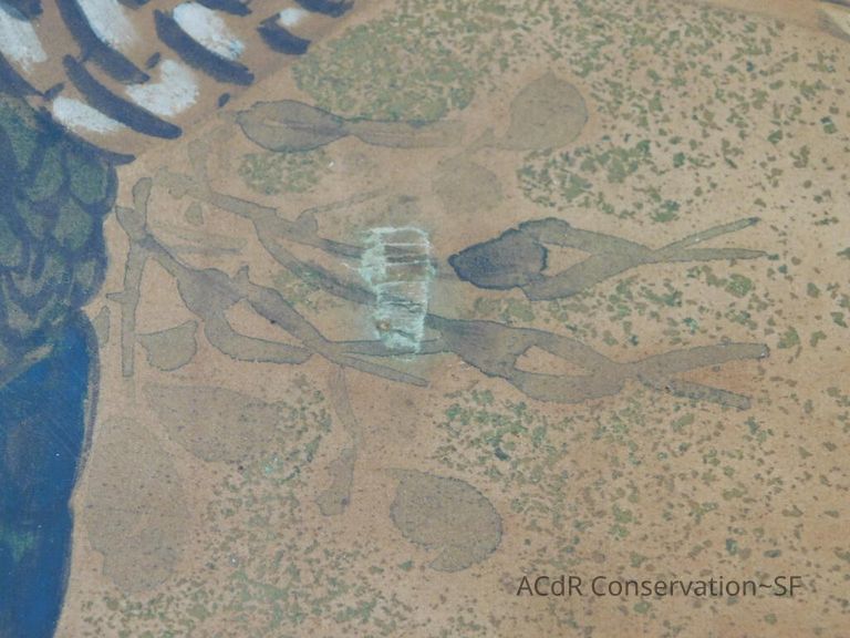 #5 - Pheasant - Image 4