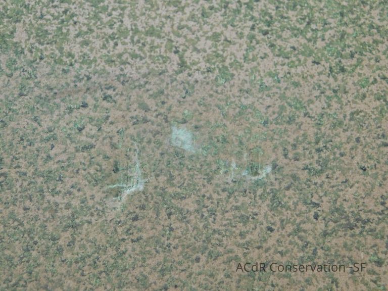 #5 - Pheasant - Image 5