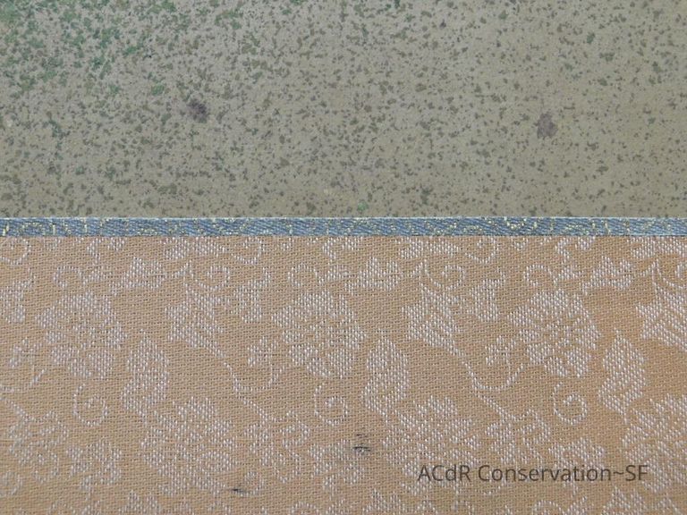 #5 - Pheasant - Image 6