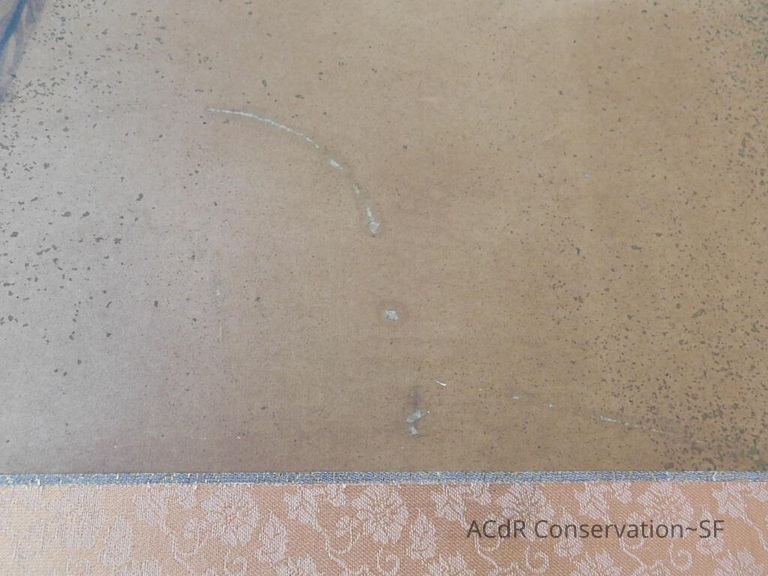 #5 - Pheasant - Image 10