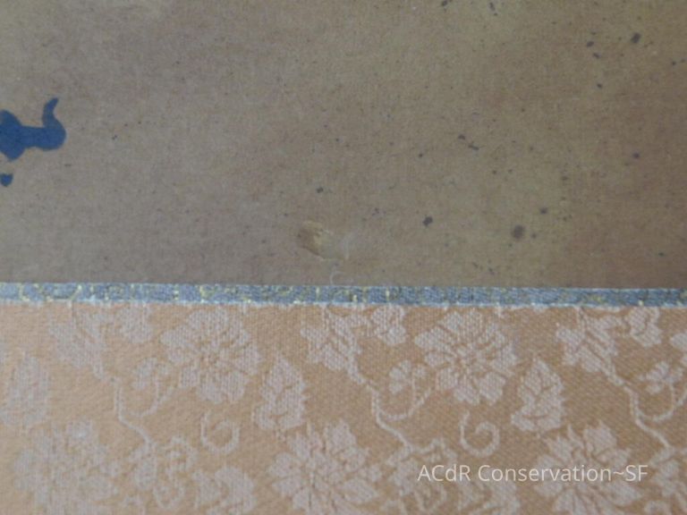 #5 - Pheasant - Image 11