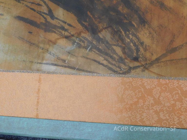 #5 - Pheasant - Image 12