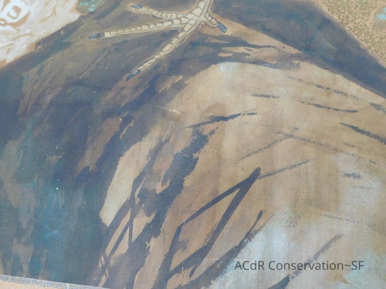 #5 - Pheasant - Image 13