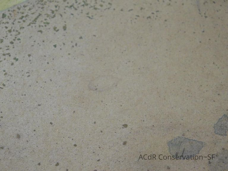 #5 - Pheasant - Image 16