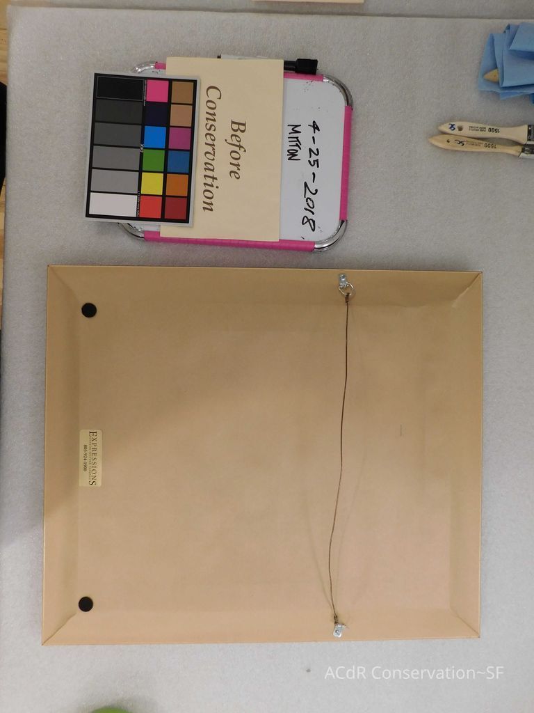 Jack Russell terrier portrait - Image 2