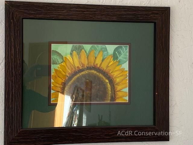          Sunflower detail picture number 1
