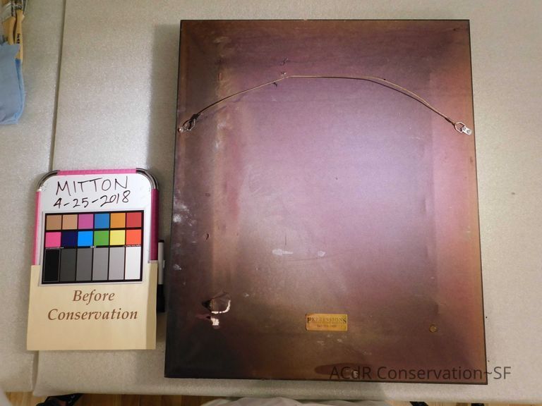 Crouched puma - Image 2