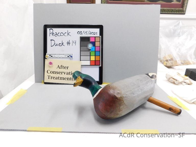          Wooden Duck picture number 1
