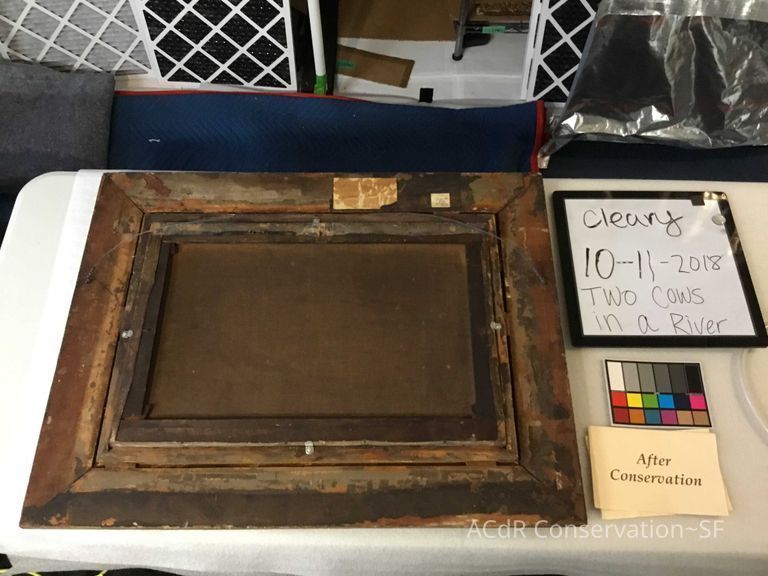 Two cows in a river  - Image 3