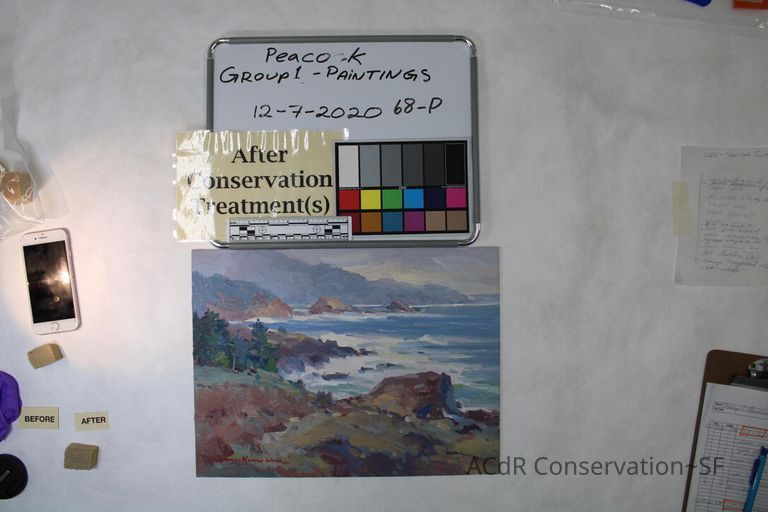          Along the South Shore, Point Lobos picture number 1
