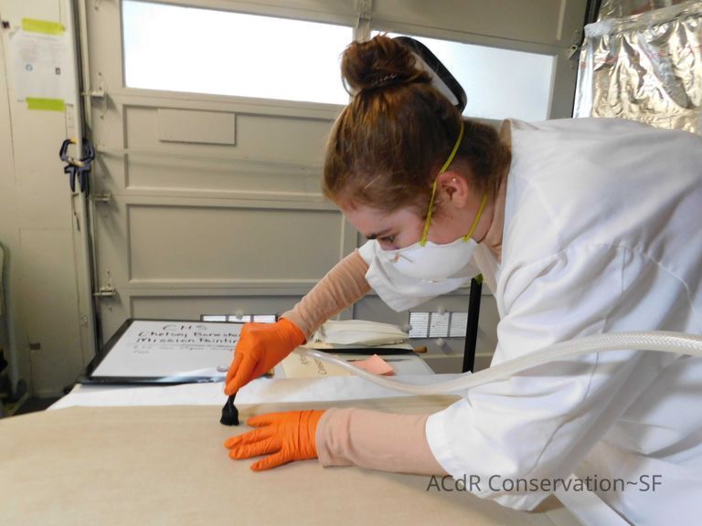          Callie picture number 1
