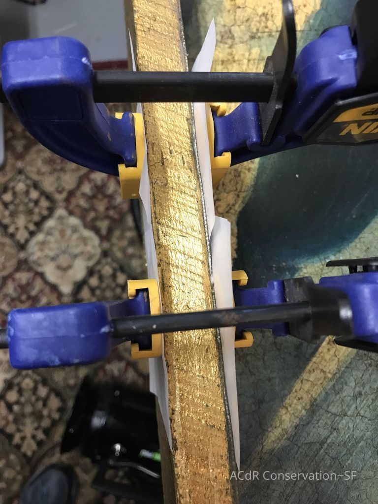 The Gilded Cage  - Image 5