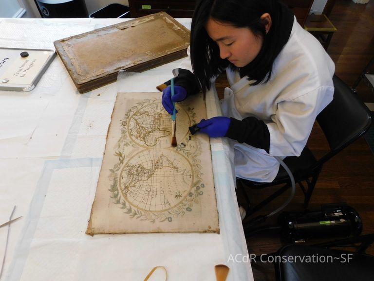          Abby picture number 1
