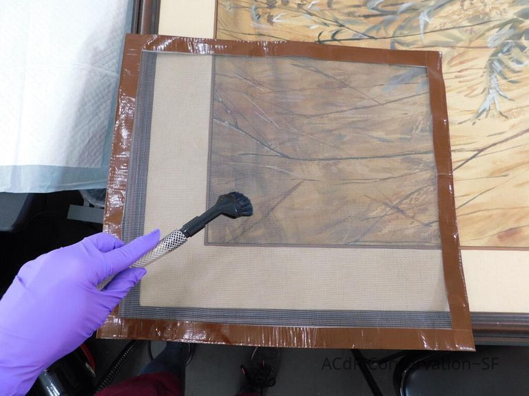 #7 - Grass and Thistles - Image 16